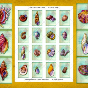 Oceanic Art - Ocean shells Digital Collage, marine life image art matchbox covers collage sheet 1.5&quot; x 2.25&quot; - Instant Download