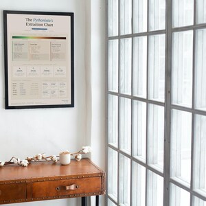 Python Espresso Extraction Chart — Coffee Poster for Developers, Funny Coder Gift, Home Office Wall Art, Digital Download image 4