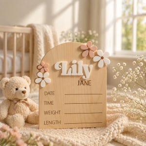 May include: A wooden birth announcement sign with the name "Lily" in white, adorned with pink and white flower accents. The sign includes spaces for date, time, weight, and length. A teddy bear sits in the background.