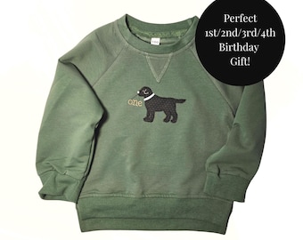 Black Lab Baby Gift Embroidered Birthday Sweater for Toddler Birthday Present Dog Lover Celebration Clothing Appliqué Black Lab Sweatshirt