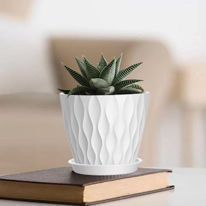 4” Plant Pots Set of 6 – White Planters with Drainage & Trays