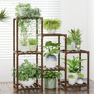 May include: A multi-tiered, brown wooden plant stand filled with various potted green plants. The stand has a stepped design, with multiple shelves of different sizes, creating a visually appealing display for indoor plants.