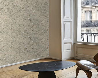 Fossilized Rock Wallpaper Peel and Stick - Removable Self Adhesive Accent Wall