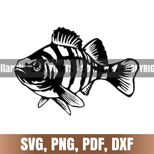 Archivo SVG de pez perca, DXF para corte láser, arte mural de pesca, DXF para plasma, regalo para pescador, decoración para casa de lago, imágenes prediseñadas, silueta de pez, archivo de corte Cricut