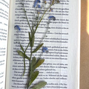 Forget me not bookmark- Pressed Flowers Bookmark - Vergissmeinnicht Lesezeichen - Echte getrocknete Blumen