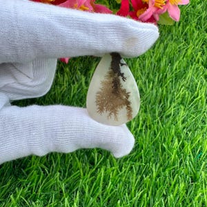Può includere: Una gemma di agata dendritica a forma di goccia con una base bianco sporco traslucida e inclusioni marrone scuro simili a felci che si ramificano sulla superficie della pietra, creando un motivo naturale complesso all'interno del minerale.
