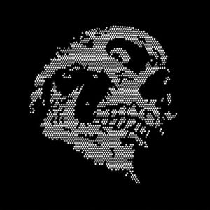 May include: A graphic design created with small white circular dots arranged on a solid black background to form the shape of a skull. The skull is depicted in profile, showing a hollow eye socket, a nasal cavity, and a set of teeth.
