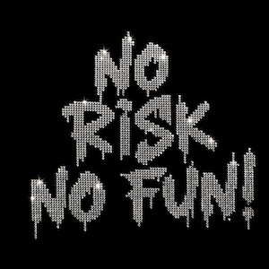 Pode incluir: Um design de transferência de strass em um fundo preto com o texto NO RISK NO FUN! em uma fonte de estilo líquido que escorre. As letras são compostas por inúmeras pequenas pedras prateadas reflexivas que criam um efeito cintilante.