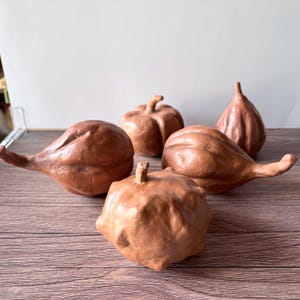 Op de afbeelding: Vijf bruine keramische kalebassen in verschillende vormen en maten. Sommige hebben stelen, andere hebben langwerpige halzen. De kalebassen zijn gerangschikt op een houten oppervlak, wat wijst op een herfst- of oogstthema.