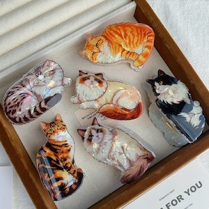 May include: Six cat-shaped hair clips featuring various breeds and coat patterns, including orange tabby, grey tabby, black and white, and calico designs. Each clip has a glossy, iridescent finish and a metal spring mechanism on the underside.