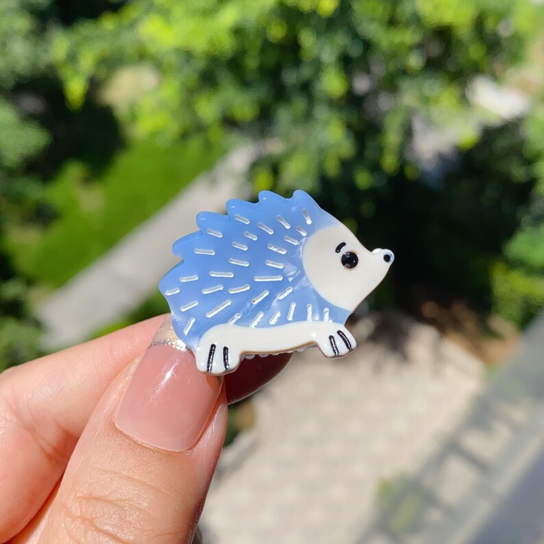 Acetate Mini Claw Clip, Snail Hedgehog Bee Hair Accessory, Kawaii ...