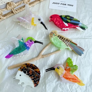 May include: A collection of colorful bird-shaped hair clips and a hedgehog-shaped clip. The clips feature vibrant hues of red, green, purple, and yellow. The text "JUST FOR YOU" is on a white card.