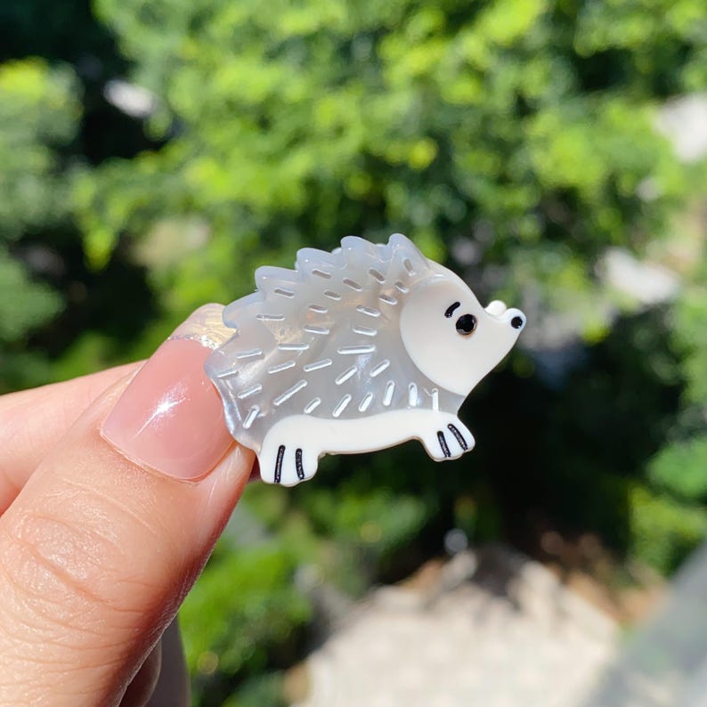 Acetate Mini Claw Clip, Snail Hedgehog Bee Hair Accessory, Kawaii ...