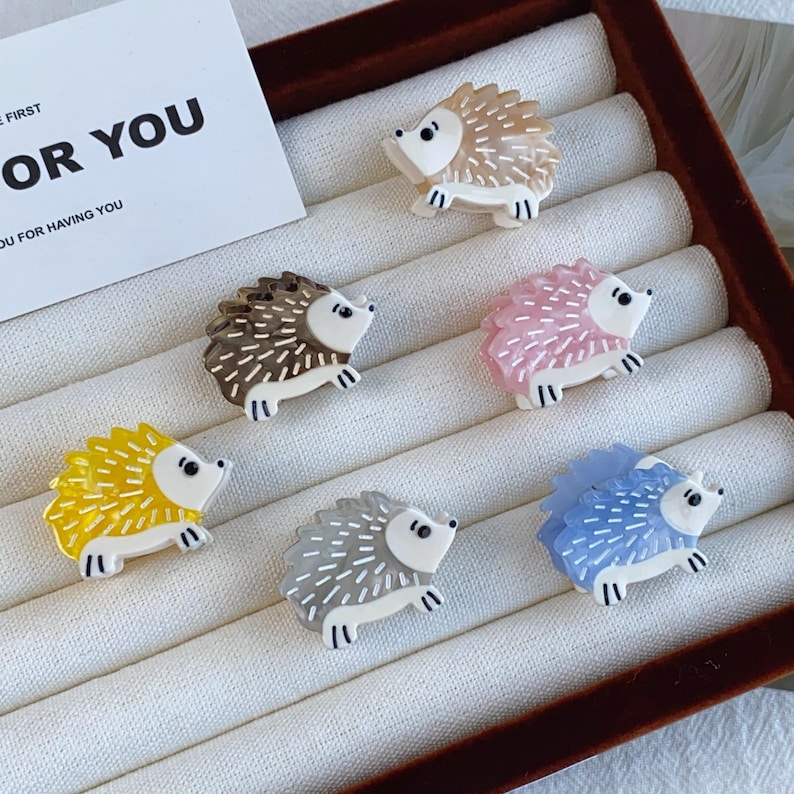 Acetate Mini Claw Clip, Snail Hedgehog Bee Hair Accessory, Kawaii ...