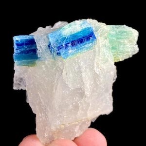 Op de afbeelding: Een ruw mineraal exemplaar met levendige, diepblauwe en doorschijnende lichtblauwe kristalstructuren ingebed in een grillige, ondoorzichtige witte kwartsmatrix. De kristalformaties vertonen duidelijke horizontale banden en scherpe randen.