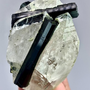 Puede incluir: Un espécimen mineral que presenta cristales de turmalina negra opacos y alargados incrustados en un gran grupo de cuarzo transparente y translúcido. El cuarzo exhibe facetas naturales e inclusiones internas, mientras que la turmalina muestra estrías verticales.