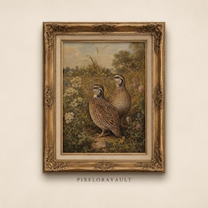 Cuadro decorativo vintage de codornices, lámina antigua de aves para decoración rústica de granja, descarga digital con estética cottagecore, regalo para amantes de la naturaleza.