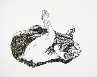 Original pen and marker drawing study of cat sketch