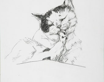 Original pencil drawing study of cat sketch