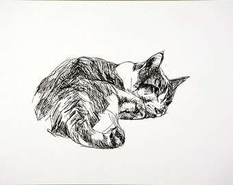 Original pen and marker drawing study of cat sketch