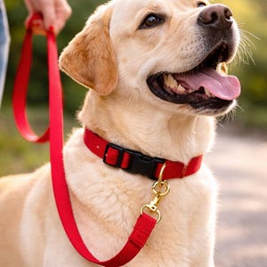 Red Adjustable Dog Leash Nylon Training Lead Strong Durable Long Lead for Walking Control Multi Length Adjustable Dog Leash, Stylish Leash