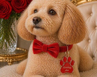 Personalized Pet Wedding Set, Cat Wedding Set, Dog Wedding Set, Wedding Dog Collar with Charm, Wedding Cat Collar with Charm, Wedding Bow