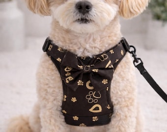 Black Gold Nylon Dog Harness, Black Gold Nylon Cat Harness, Dog Walking Set, Black Cat Walking set, Soft Dog Harness, Puppy Accessories