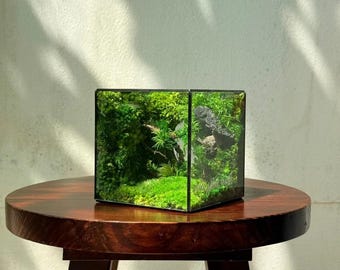 Handmade Preserved Moss Terrarium | 4.72" Glass Cube | No Watering Needed | Miniature Forest Desk Decor
