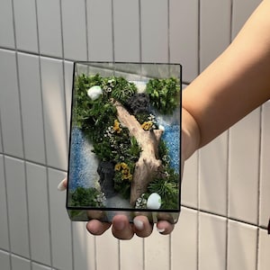 Handmade Preserved Moss Terrarium – Miniature Forest Glass Box, Zero Maintenance Nature Decor
