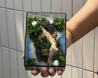 Terrario artigianale con muschio conservato – Miniatura di foresta in una scatola di vetro, decorazione naturale a manutenzione zero