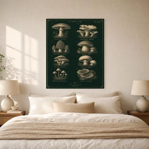 Mushroom Botanical Wall Art Print | Dark Academia Mycology Poster | Vintage Fungi Illustration | Forest Green Natural History Decor image 6