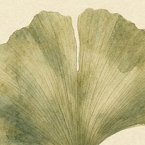 Sage Green Japandi Wall Art Print | Neutral Gallery Wall Set | Minimal Ginkgo Leaf Wabi Sabi Print image 3