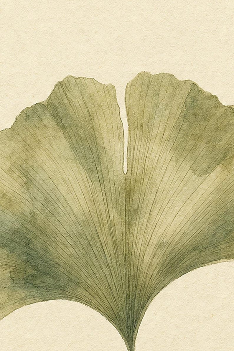 Sage Green Japandi Wall Art Print | Neutral Gallery Wall Set | Minimal Ginkgo Leaf Wabi Sabi Print image 3