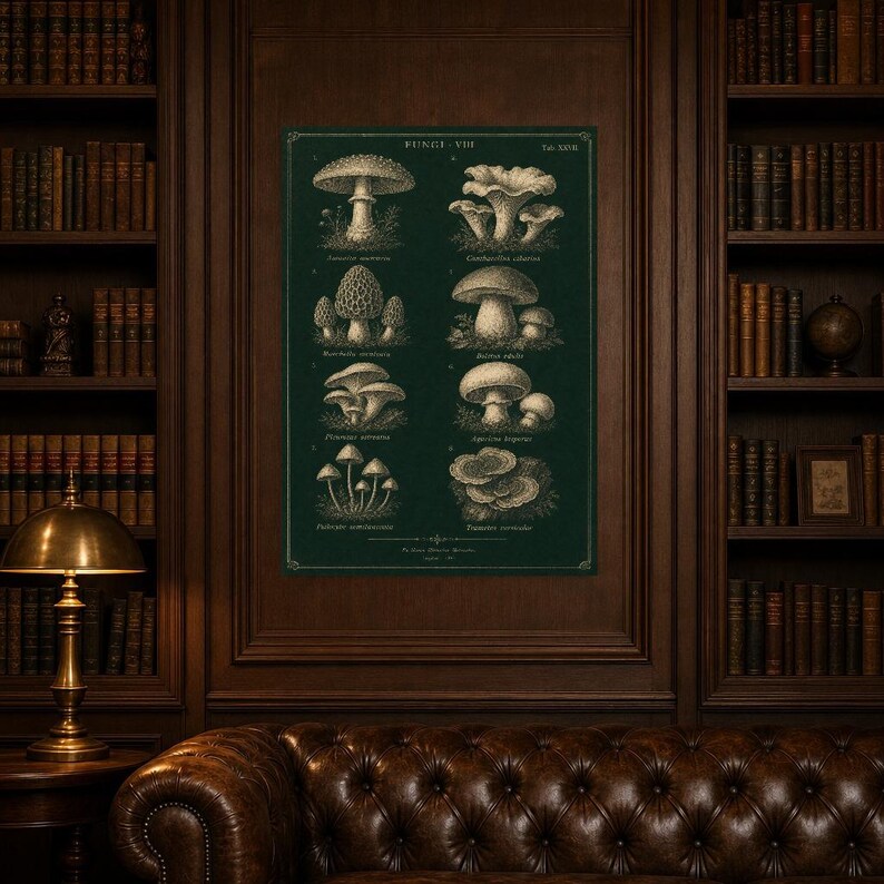 Mushroom Botanical Wall Art Print | Dark Academia Mycology Poster | Vintage Fungi Illustration | Forest Green Natural History Decor image 5