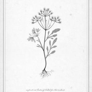 Sepia Vintage Botanical Wall Art | Antique Herbal Engraving Poster | Cottagecore Specimen Print image 10