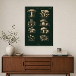 Mushroom Botanical Wall Art Print | Dark Academia Mycology Poster | Vintage Fungi Illustration | Forest Green Natural History Decor image 2
