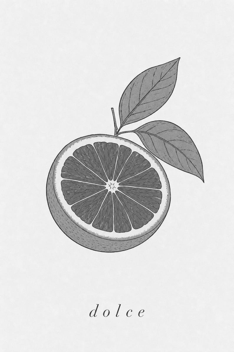 Blutorange Botanischer Wand kunstdruck | Minimalistischer Line Art Küchendruck | Italienisches Dolce-Zitrus-Poster | Mediterranes Dekor Bild 10