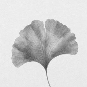 Sage Green Japandi Wall Art Print | Neutral Gallery Wall Set | Minimal Ginkgo Leaf Wabi Sabi Print image 10