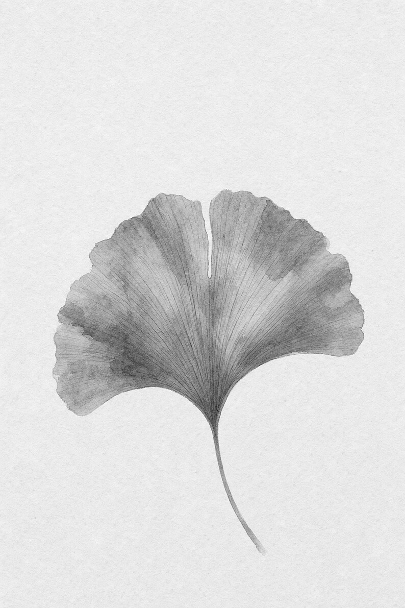 Sage Green Japandi Wall Art Print | Neutral Gallery Wall Set | Minimal Ginkgo Leaf Wabi Sabi Print image 10