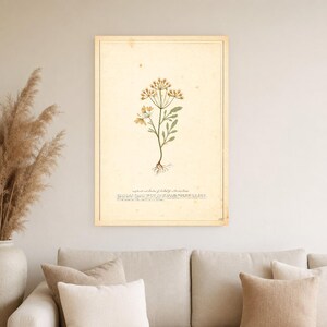 Sepia Vintage Botanical Wall Art | Antique Herbal Engraving Poster | Cottagecore Specimen Print image 4