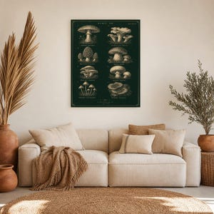 Mushroom Botanical Wall Art Print | Dark Academia Mycology Poster | Vintage Fungi Illustration | Forest Green Natural History Decor image 7