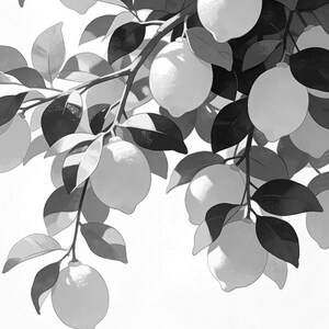 Mediterranean Lemon Kitchen Print | Dolce Vita Italian Wall Art Print | Dining Room Summer Decor image 17