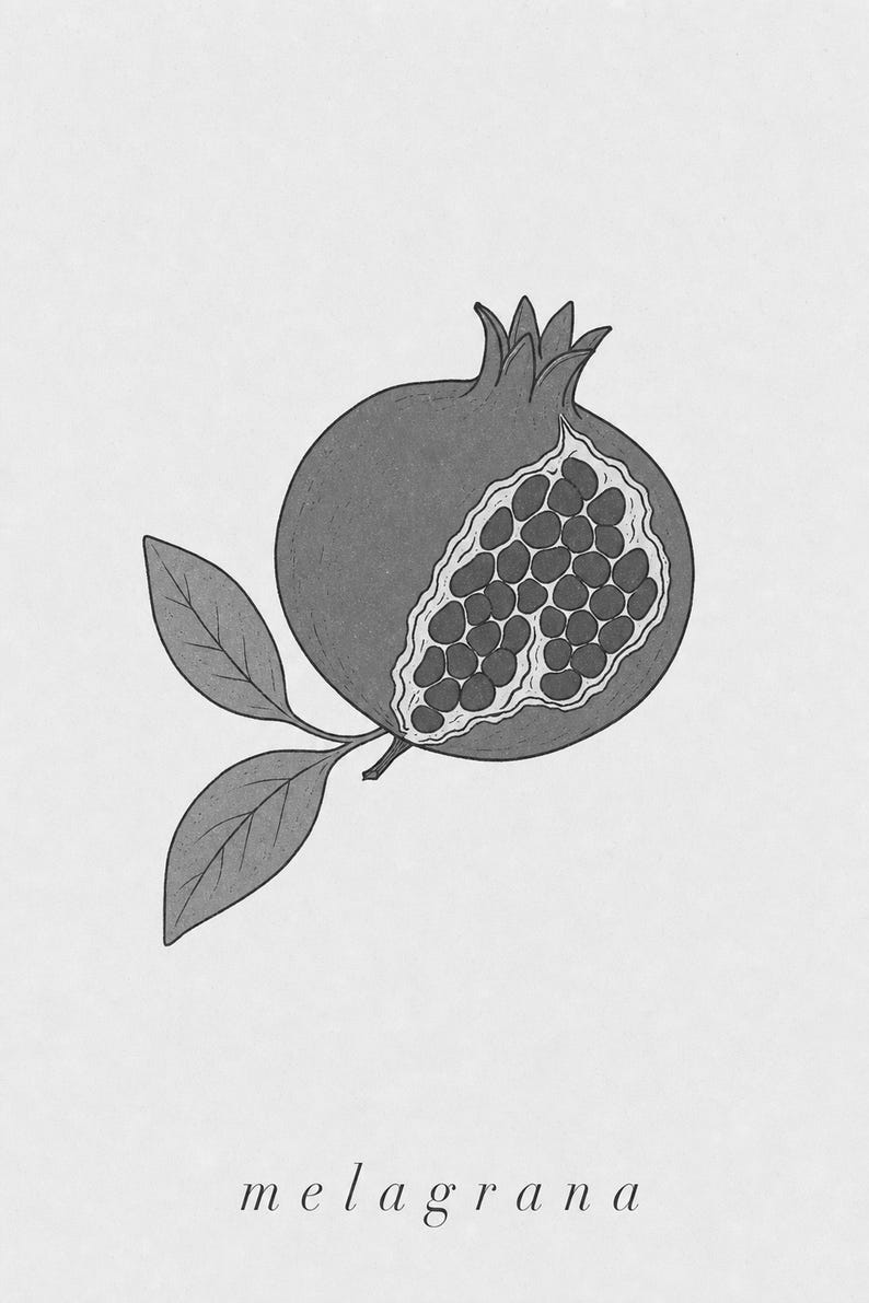 Pomegranate Botanical Wall Art Print | Minimalist Line Art Print | Melagrana Italian Kitchen Poster | Mediterranean Fruit Decor image 10