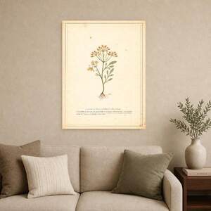 Sepia Vintage Botanical Wall Art | Antique Herbal Engraving Poster | Cottagecore Specimen Print image 9