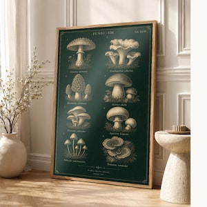 Mushroom Botanical Wall Art Print | Dark Academia Mycology Poster | Vintage Fungi Illustration | Forest Green Natural History Decor image 1