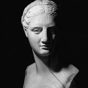 Classical Statue Wall Art | Renaissance Bust Poster | Moody Dark Academia Sculpture Print image 10