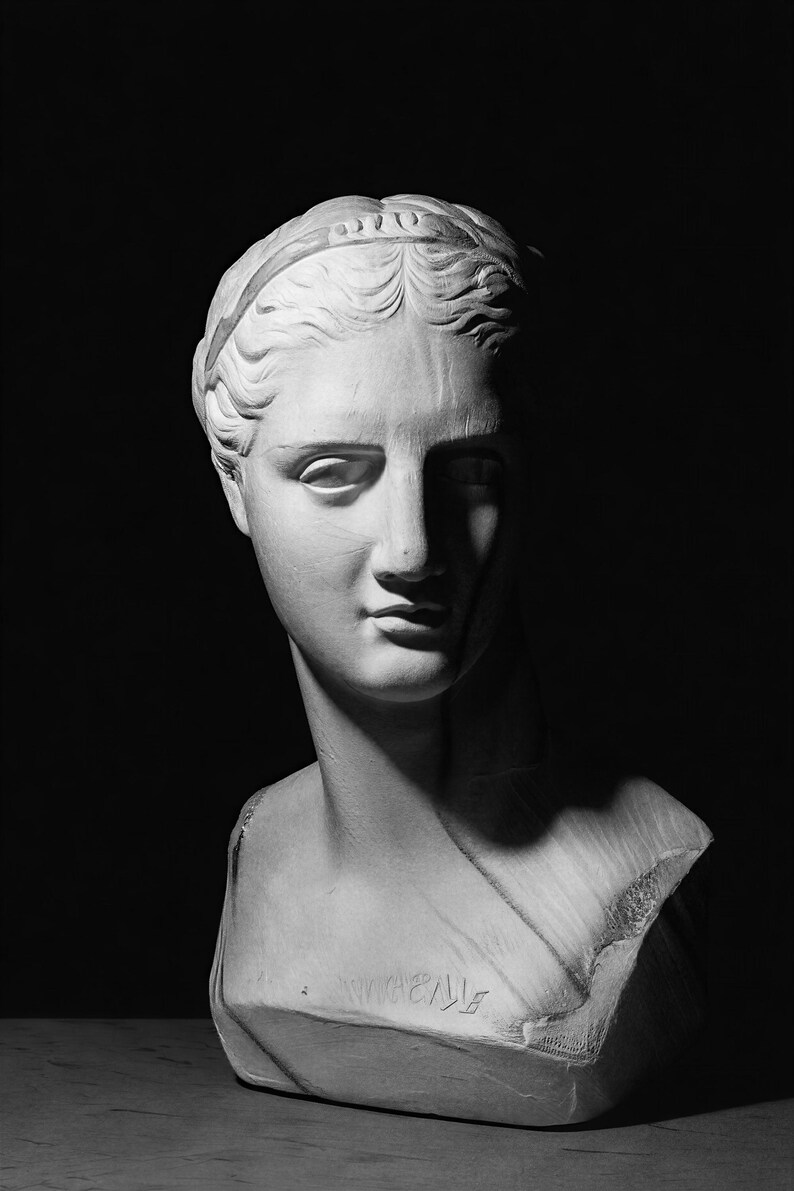 Classical Statue Wall Art | Renaissance Bust Poster | Moody Dark Academia Sculpture Print image 10