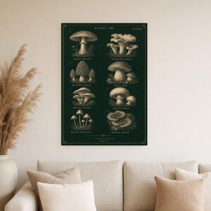Mushroom Botanical Wall Art Print | Dark Academia Mycology Poster | Vintage Fungi Illustration | Forest Green Natural History Decor image 4