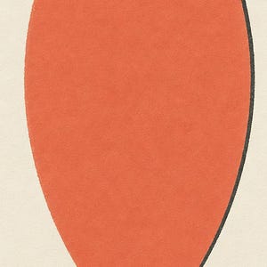 Almendra | Arte abstracto para pared | Póster de galería moderno | Impresión minimalista | Impreso y enviado imagen 3