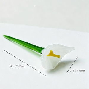 May include: A glass calla lily figurine featuring a white petal, a yellow spadix, and a green stem. The object measures 3.15 inches in length and 1.18 inches in width, as indicated by the text labels printed on the image for reference.